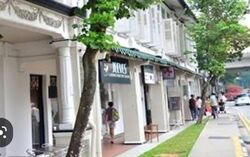 Cluny Court (D10), Shop House #594019161